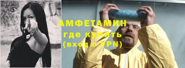 гидра Туринск