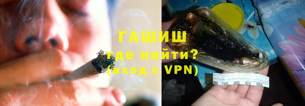 гидра Туринск