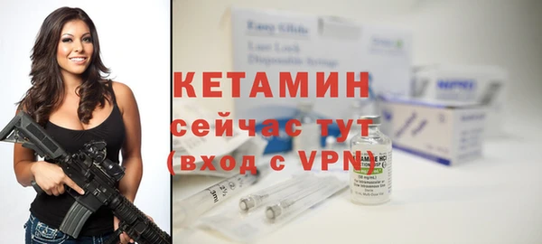 гидра Туринск