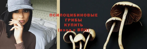 дурь Тында