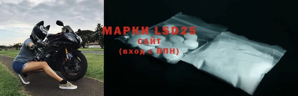 гидра Туринск