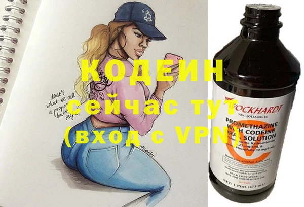 гидра Туринск