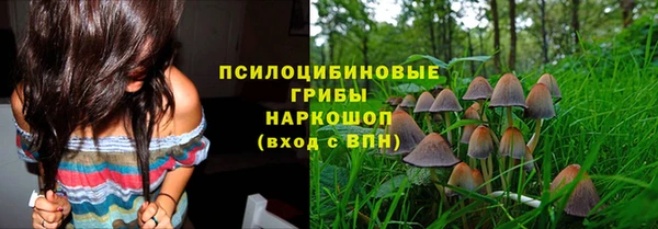 дурь Тында