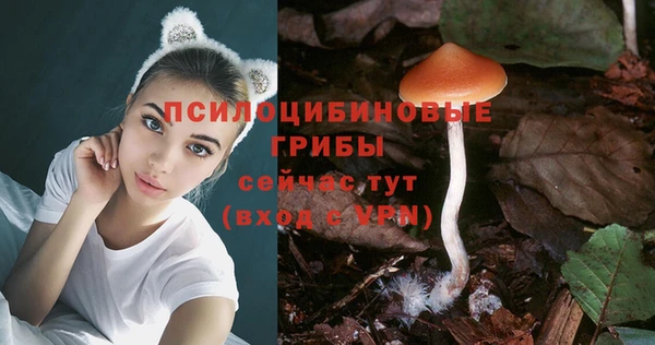дурь Тында