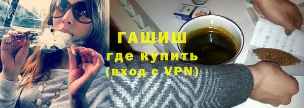 гидра Туринск