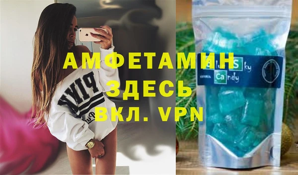 гидра Туринск