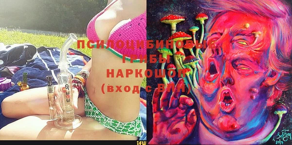 мдпв Усмань