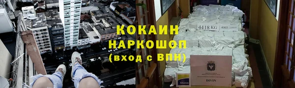 гидра Туринск