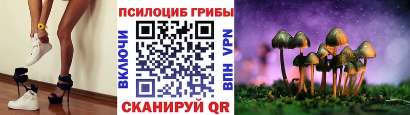 Галлюциногенные грибы Cubensis  Купить где  Рыльск 